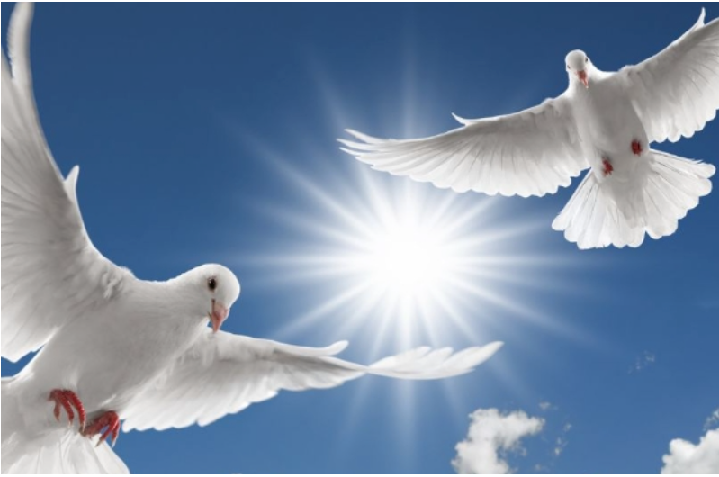 Funeral Release Reunited Pair